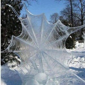 frozen spider web